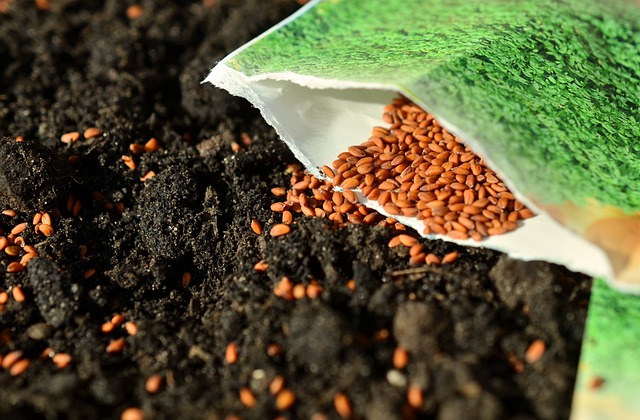 soil